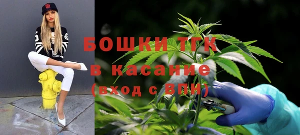 твердый Горно-Алтайск