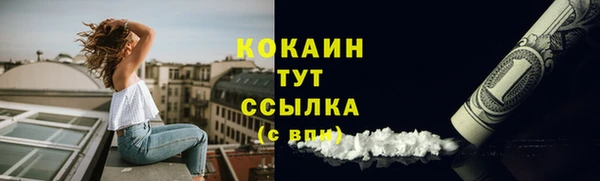 твердый Горно-Алтайск