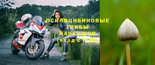 герыч Горнозаводск