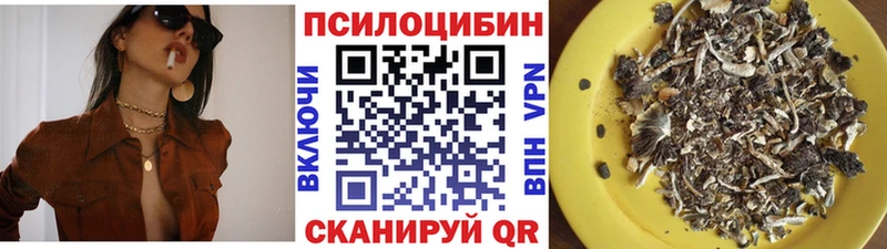 Псилоцибиновые грибы MAGIC MUSHROOMS  Купить закладки  Катав-Ивановск 